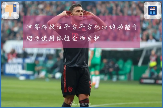 世界杯投注平台平台地址的功能介绍与使用体验全面分析