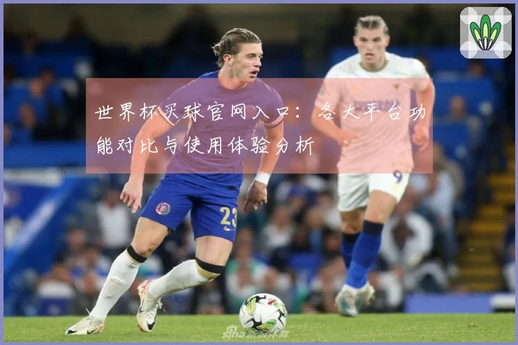 世界杯买球官网入口：各大平台功能对比与使用体验分析