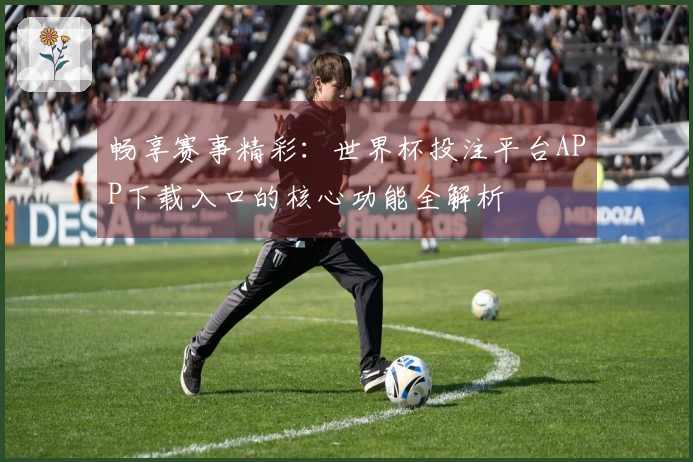 畅享赛事精彩：世界杯投注平台APP下载入口的核心功能全解析